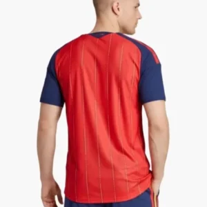 FIFA World Cup Spain 2026 Jersey for sale