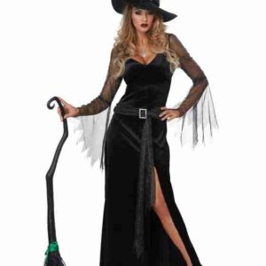 Halloween Rich Witch Womens Costume