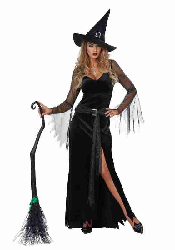 Halloween Rich Witch Womens Costume