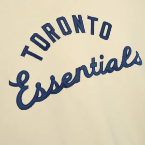 Toronto Blue Jays Unisex Essential Pinstripe Hoodie For Sale