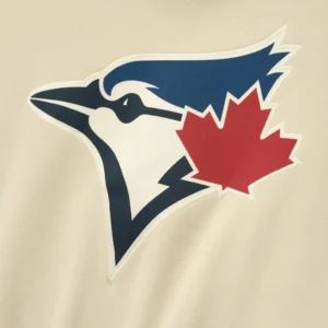 Toronto Blue Jays Unisex Essential Pinstripe Hoodie Shop Now