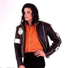 Baltimore Ravens Sideline Jacket