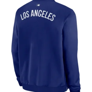 Buy KAWS x MLB Los Angeles Dodgers Nike Dugout Bomber Jacket