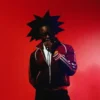 Lovn Adidas Maroon Track Jacket
