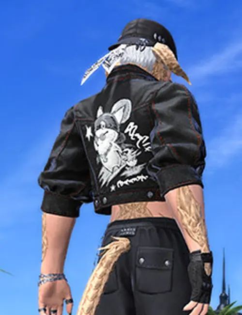 Get Ffxiv Street Jacket