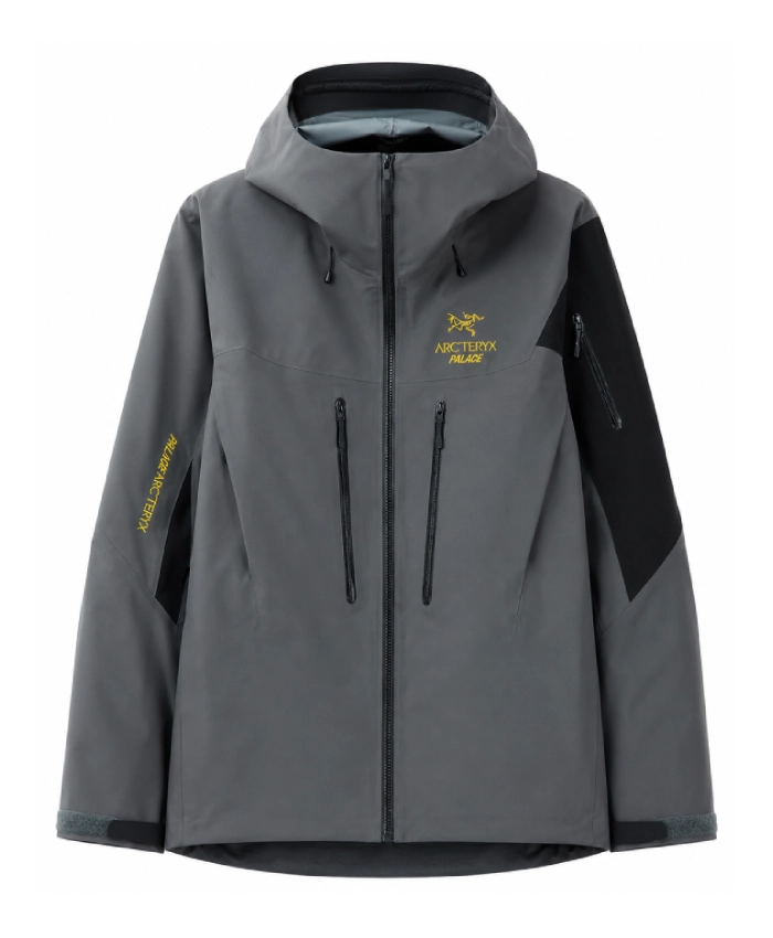 Palace x ArcTeryx Alpha SV Grey Hooded Jacket
