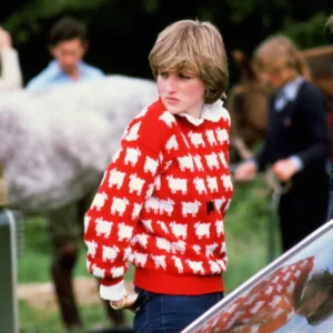 Princess Diana Red Sheep Sweater