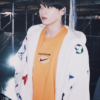 BTS Jungkook Louis Vuitton Monogram Mink Fur Hooded Jacket
