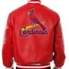 Cardinals Baseball Jacket