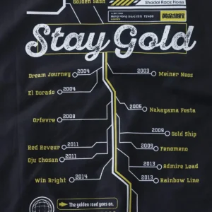 Stay Gold Blouson Jacket For Sale