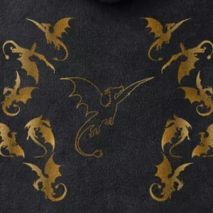 Fourth Wing Hoodie