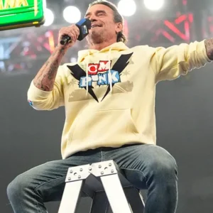 Money In The Bank Lightning Fists CM Punk Hoodie